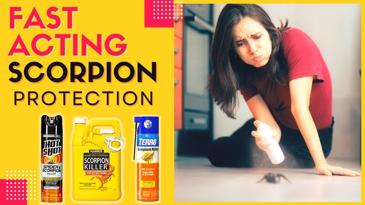 Best Scorpion Repellent -Gives You Fast Acting Long Lasting Protection