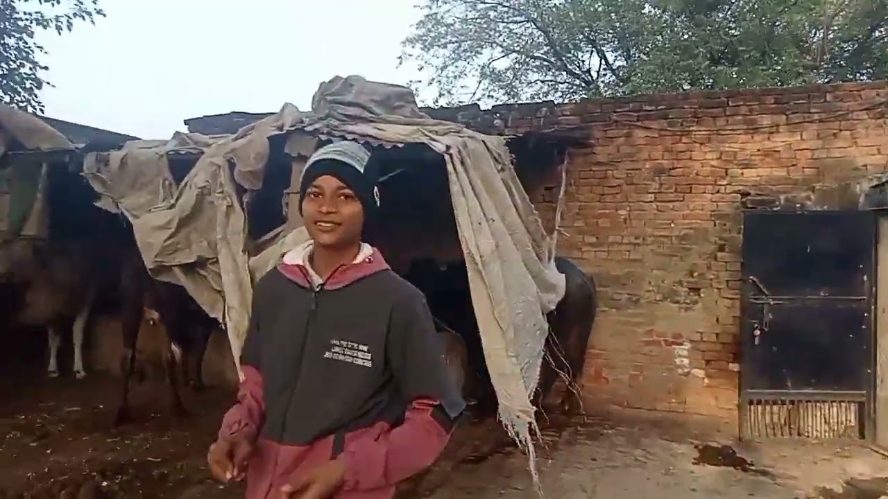 आज हम अपने घेर में चलते हैं