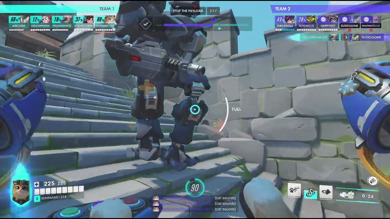 OW- HL/GP 1,269 (3X Pit)