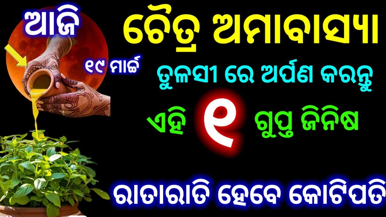 ଚୈତ୍ର ଅମାବାସ୍ୟା ଦିନ ତୁଳସୀ ରେ ଅର୍ପଣ କରନ୍ତୁ ଏହି ଗୁପ୍ତ ଜିନିଷ ରାତାରାତି ହେବେ କୋଟିପତି ll