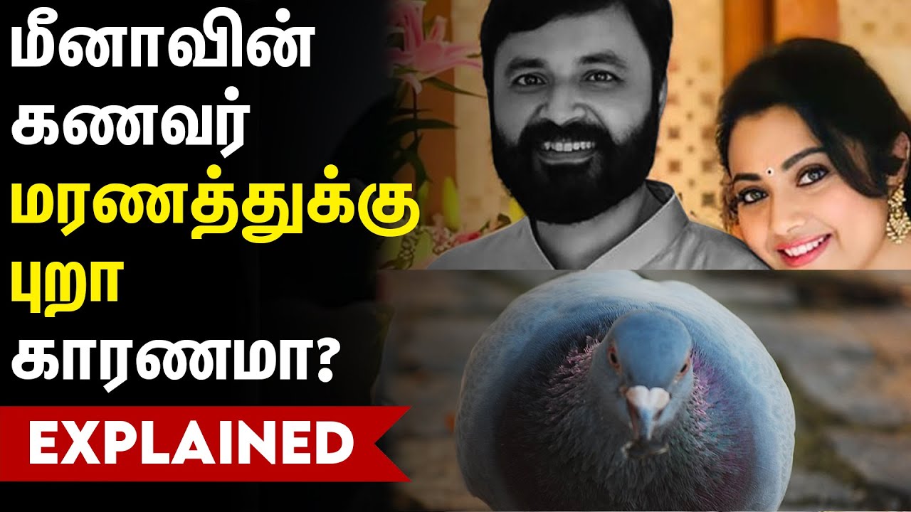 மீனாவின் கணவர் மரணத்துக்கு புறாவின் எச்சம் காரணமா? | Meena Husband Vidyasagar Death Reason