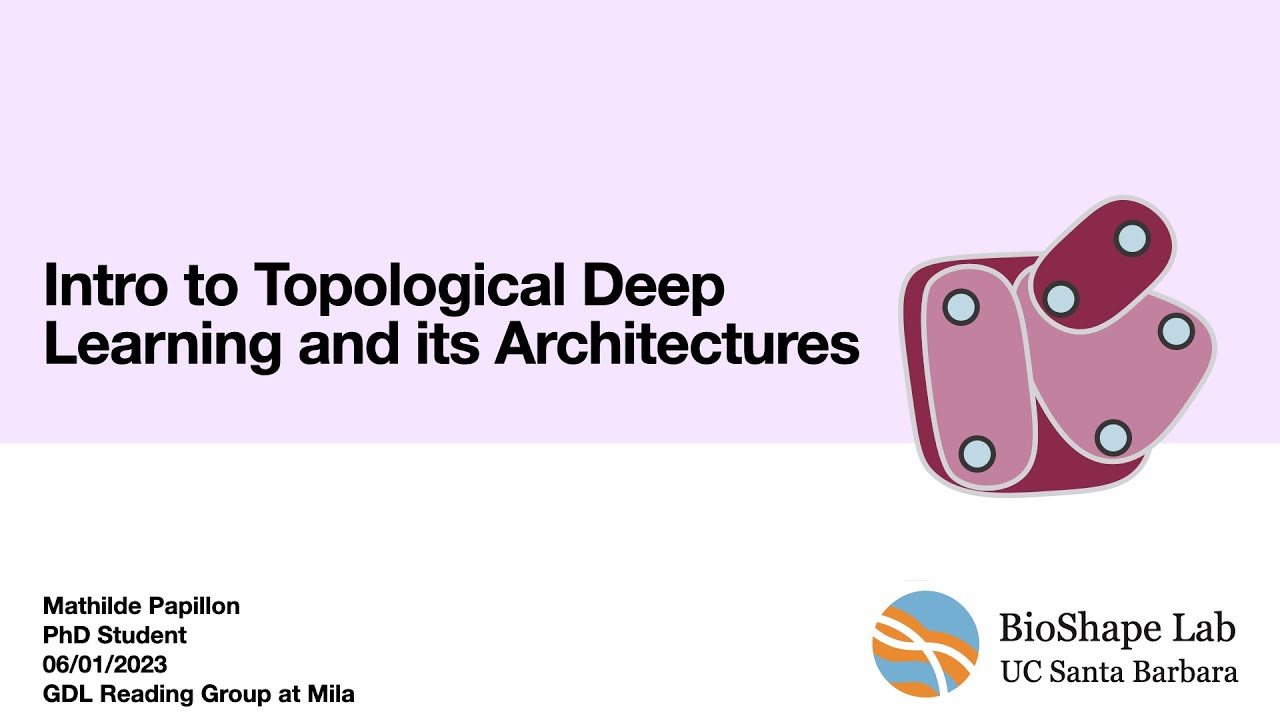 Introduction to Topological Deep Learning