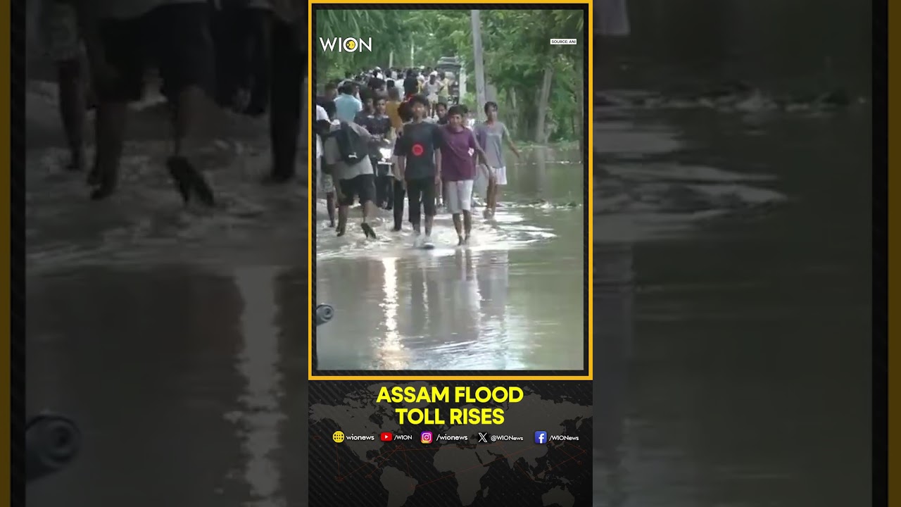 Assam Floods Kill 98, 1.55 Lakh Affected In 13 Districts | WION Shorts