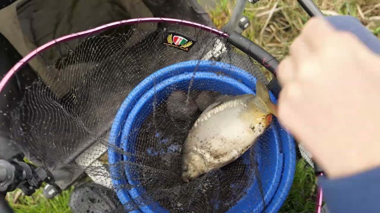 Spławikowe Mistrzostwa koła Lin w Jędrzejowie