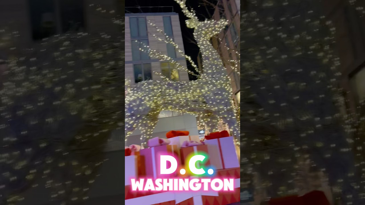 Why Christmas in Washington DC is Unforgettable