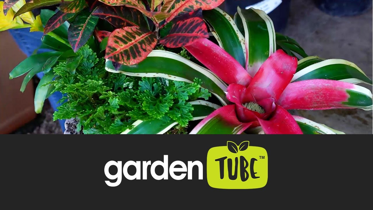 Tropical pot recipe