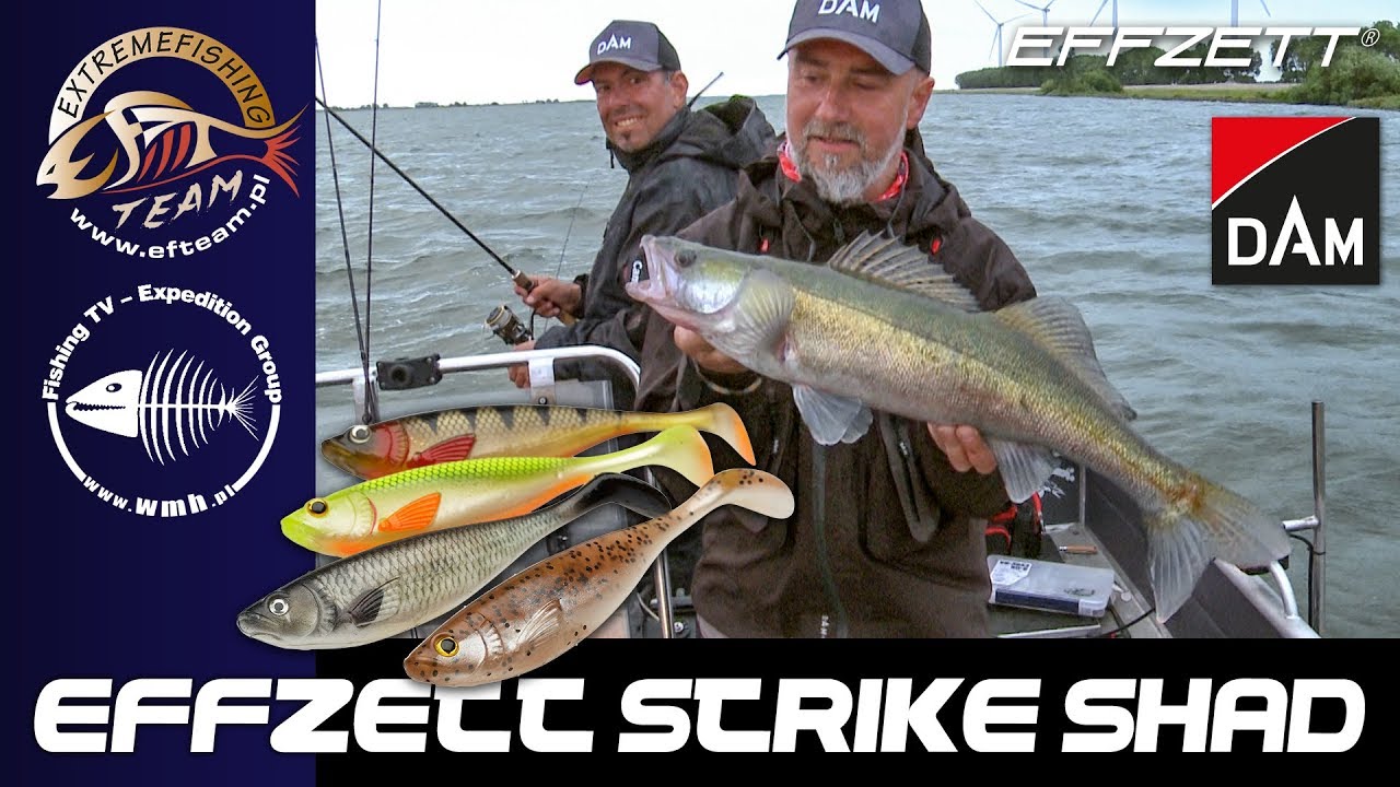 Guma EFFZETT Strike Shad