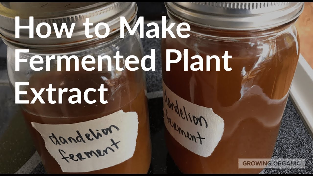 How to Make Fermented Plant Extract (FPE)