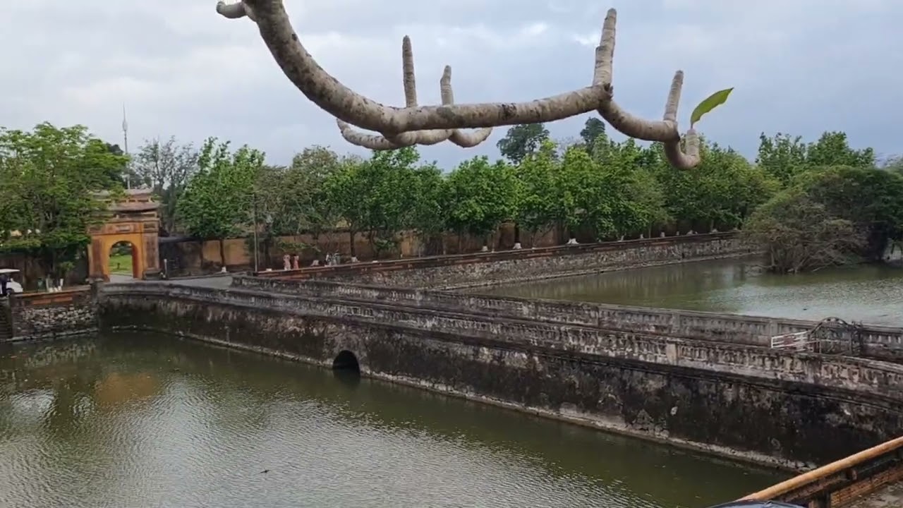 M3 TẾT