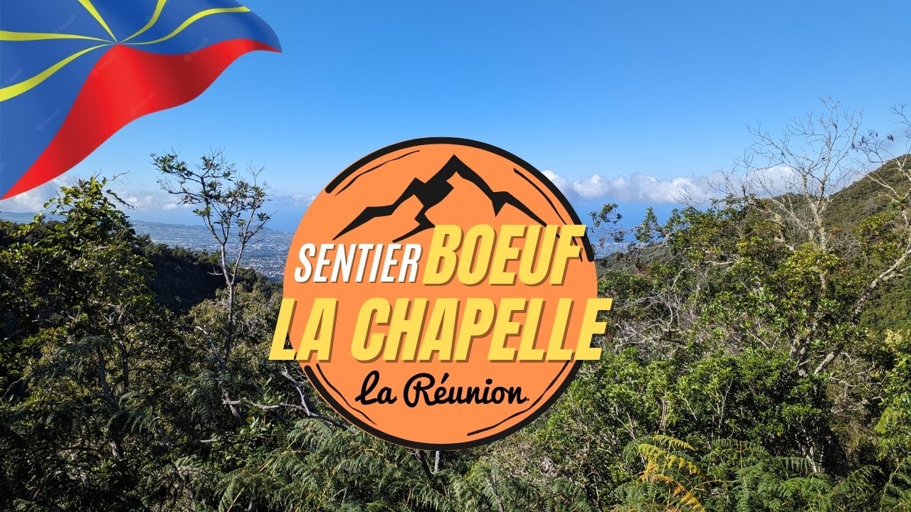 Sentier bœuf la Chapelle Dimitile (Ile de la Réunion)