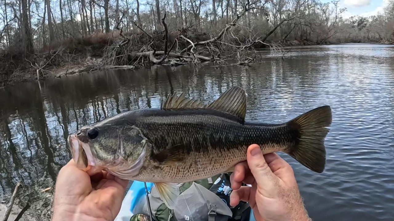 A few quick catches on the river.