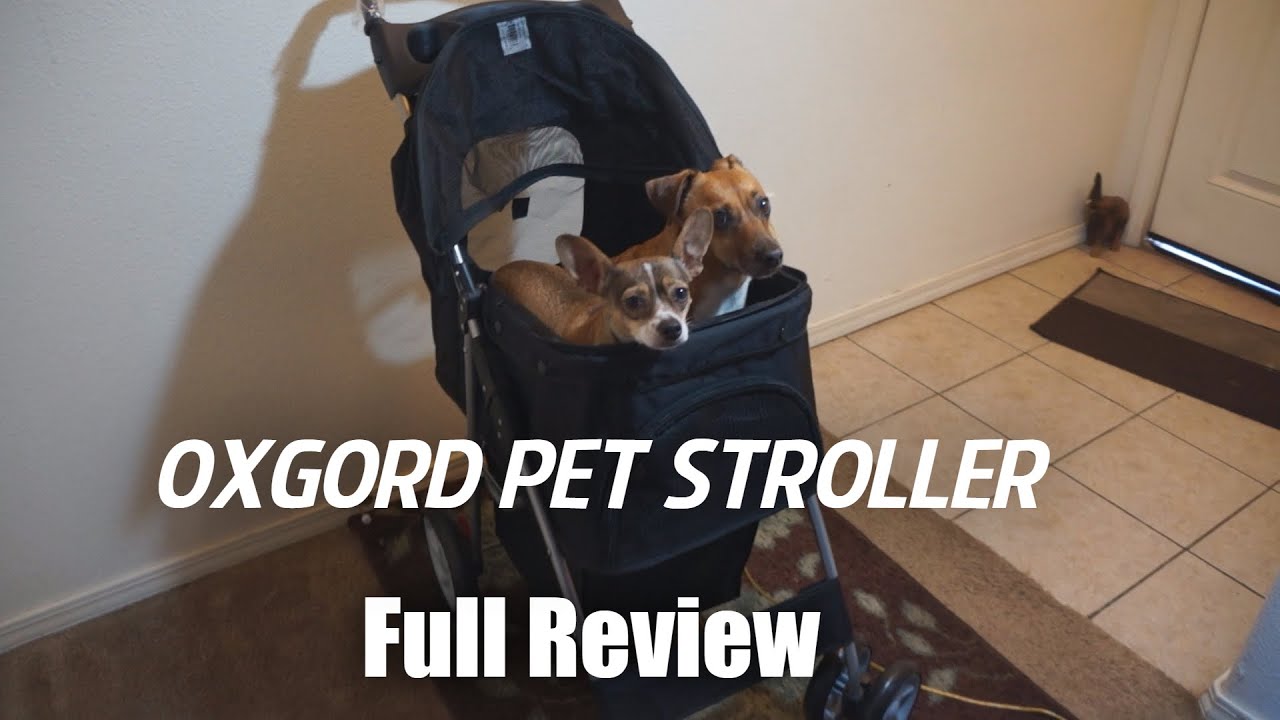 Oxgord Pet Stroller Full Review