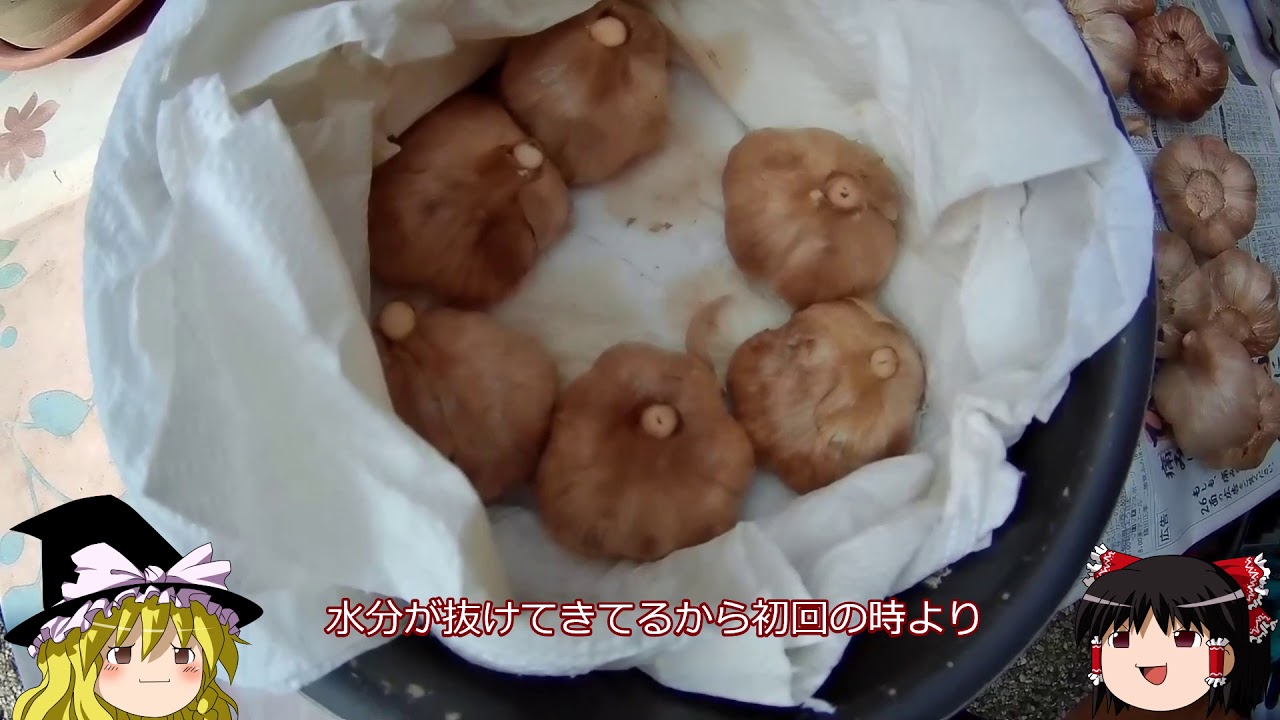 黒にんにくの作り方　炊飯器で簡単にできる！