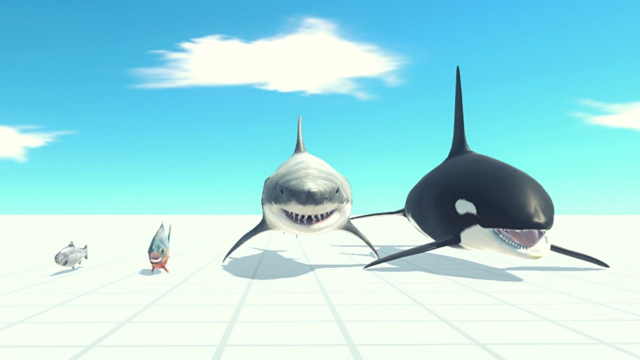 Aquatics Team Vs Every Unit ARBS | Animal Revolt Battle Simulator