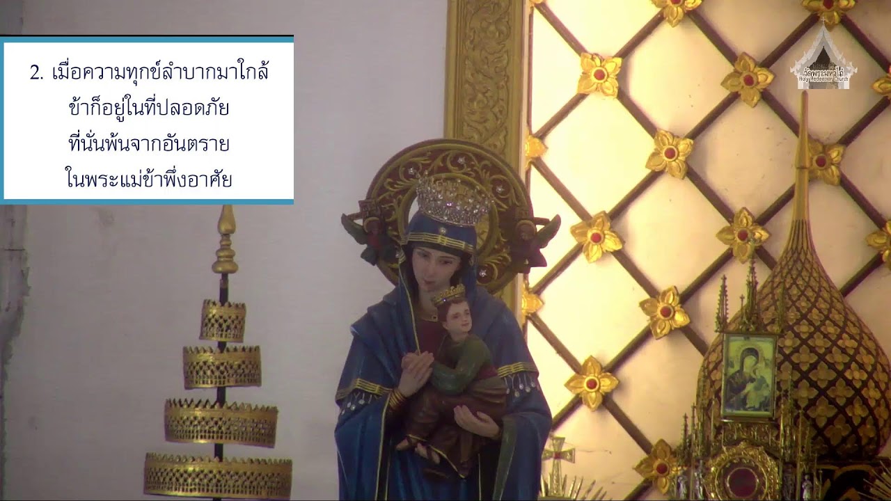 Live - Mass & Liturgy