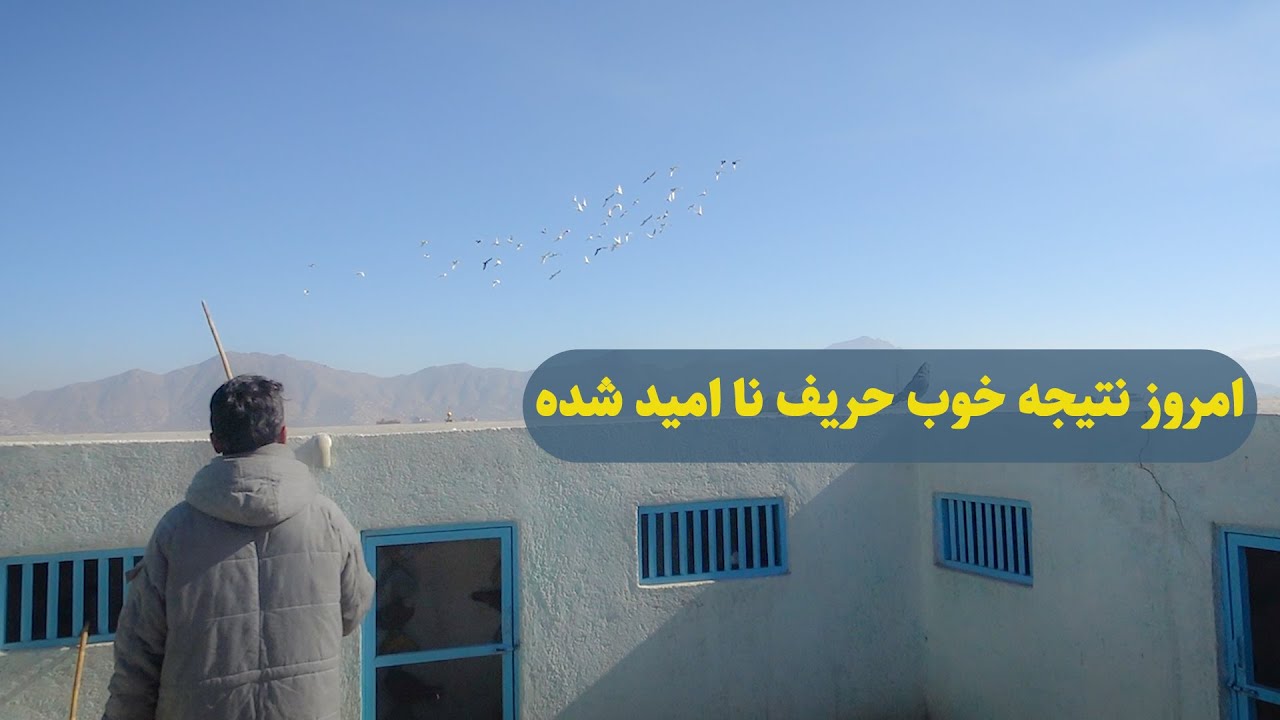 0435 / امروز نتیجه خوب حریف نا امید شده / Afghan Shawqi