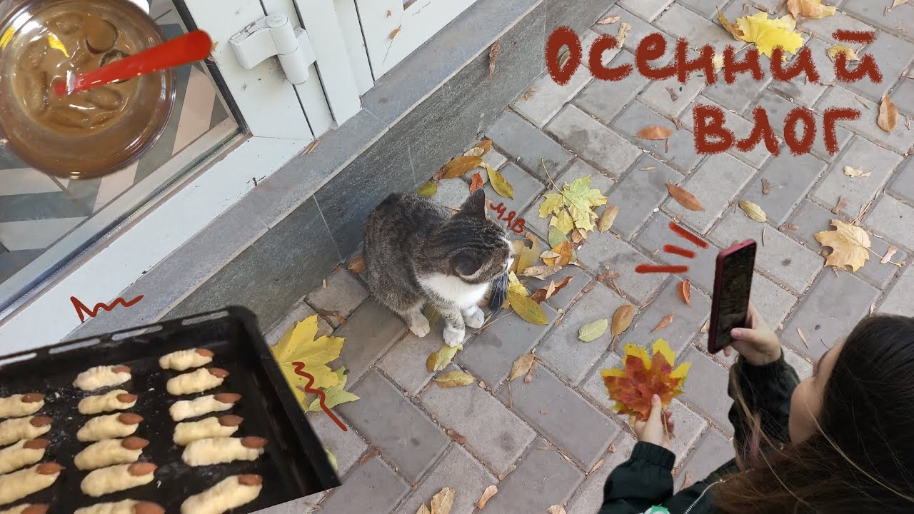 готовка, прогулки и комфорт ¡ осенний влог