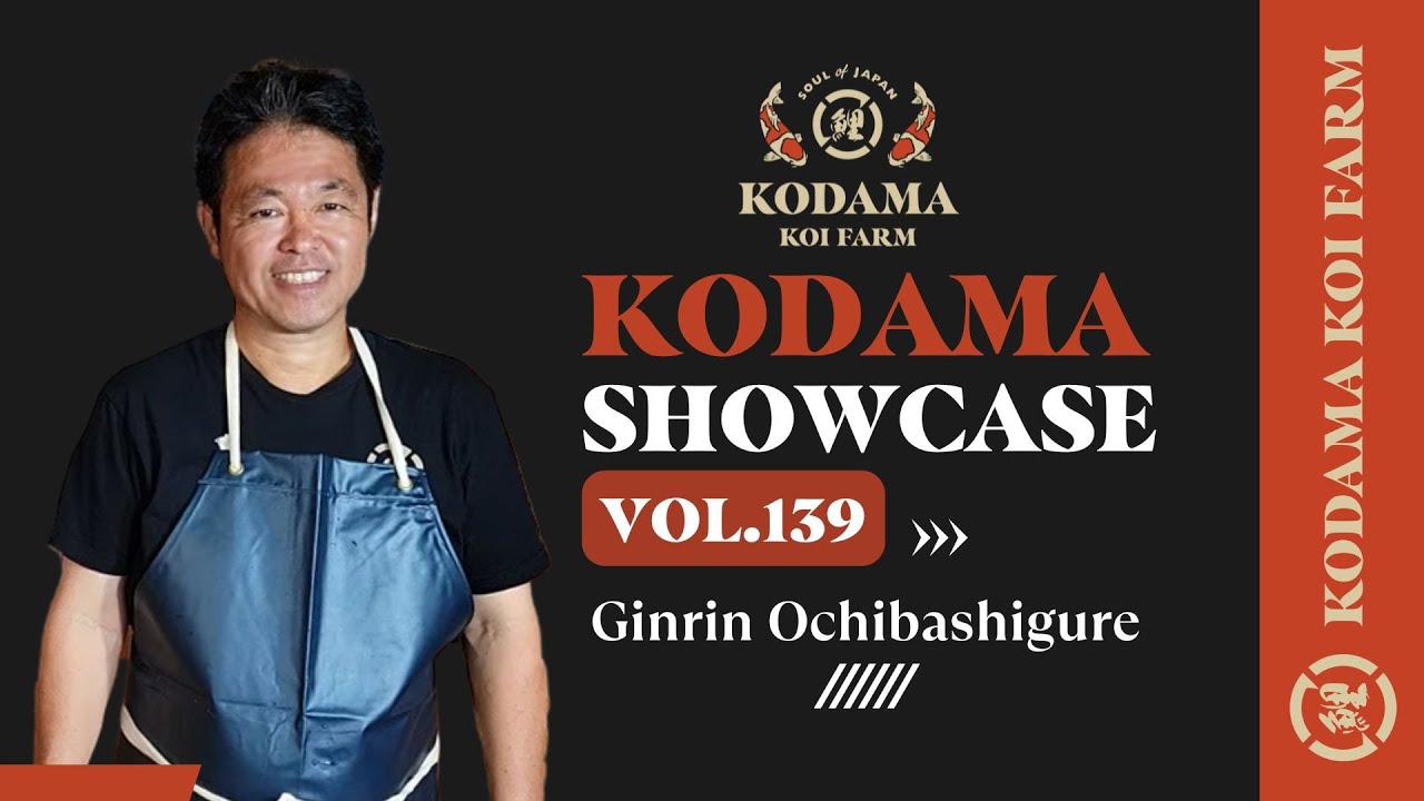 Kodama Showcase VOL.139 – Ginrin Ochibashigure