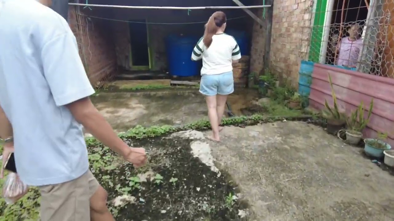 Pulai Ke Rumah Panjai Nanga Serian Batu Tunggal Balleh Kapit, Sarawak.