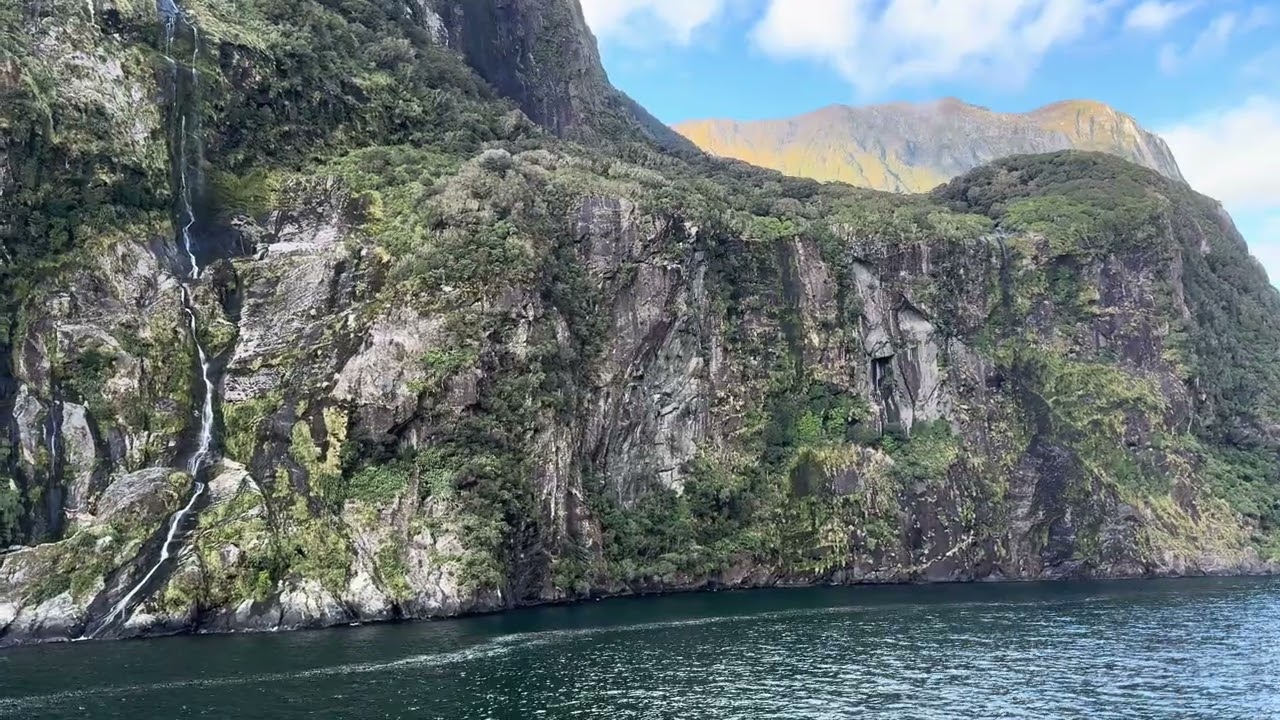 Milford Sound Adventure – Amazing Waterfalls and Wildlife! Part 1 💫🫶🏻🎥🇳🇿#travel #nz #waterfall 