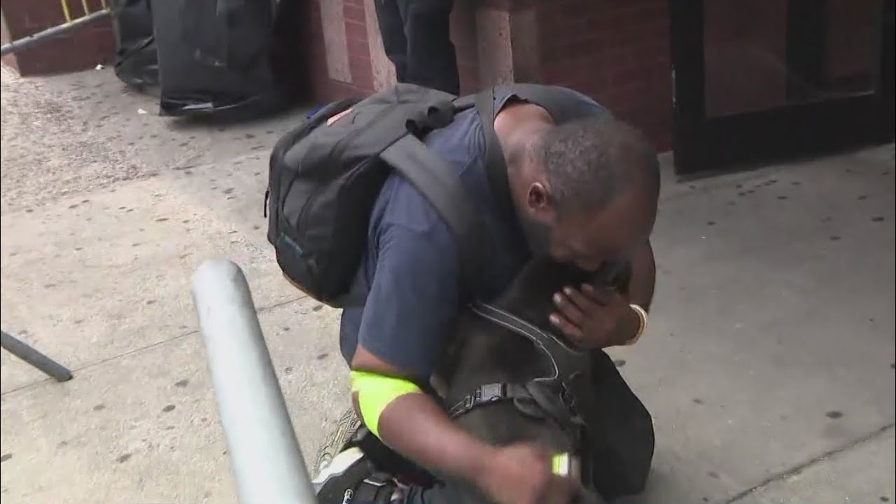 Man reunited with stolen American Bully dog in the Bronx: ‘I want to cry’
