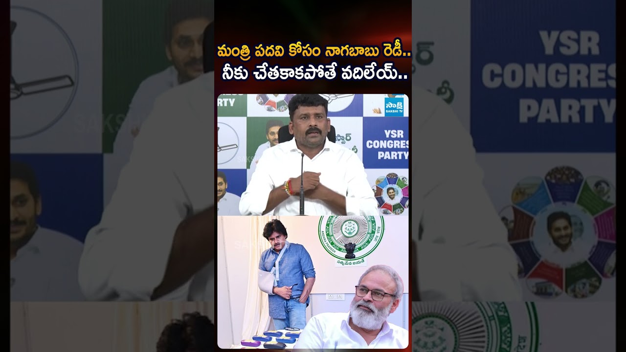 మంత్రి పదవి కోసం నాగబాబు రెడీ #pawankalyan #nagababu #apcabinet #ytshorts #karumurivenkatreddy