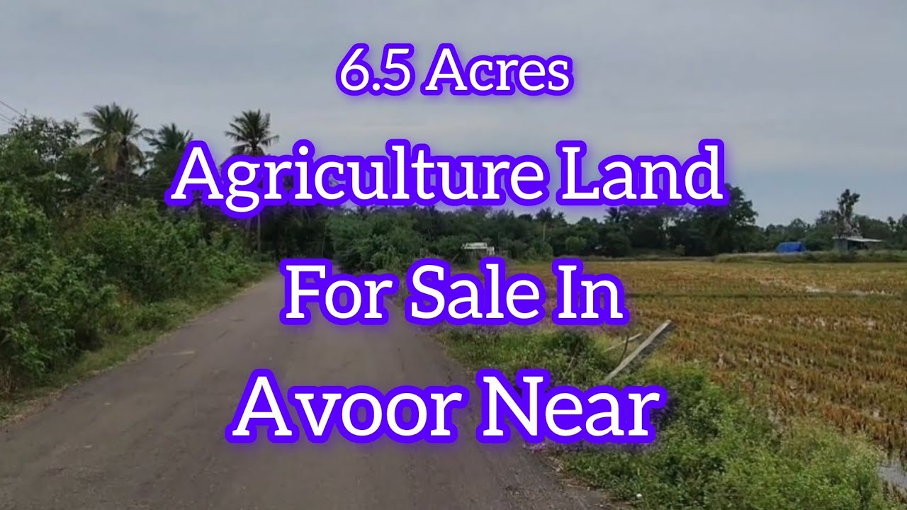 (SOLDOUT) 6.5 Acre Agriculture Land For Sale In Avoor Near // #agriculturelandforsale 