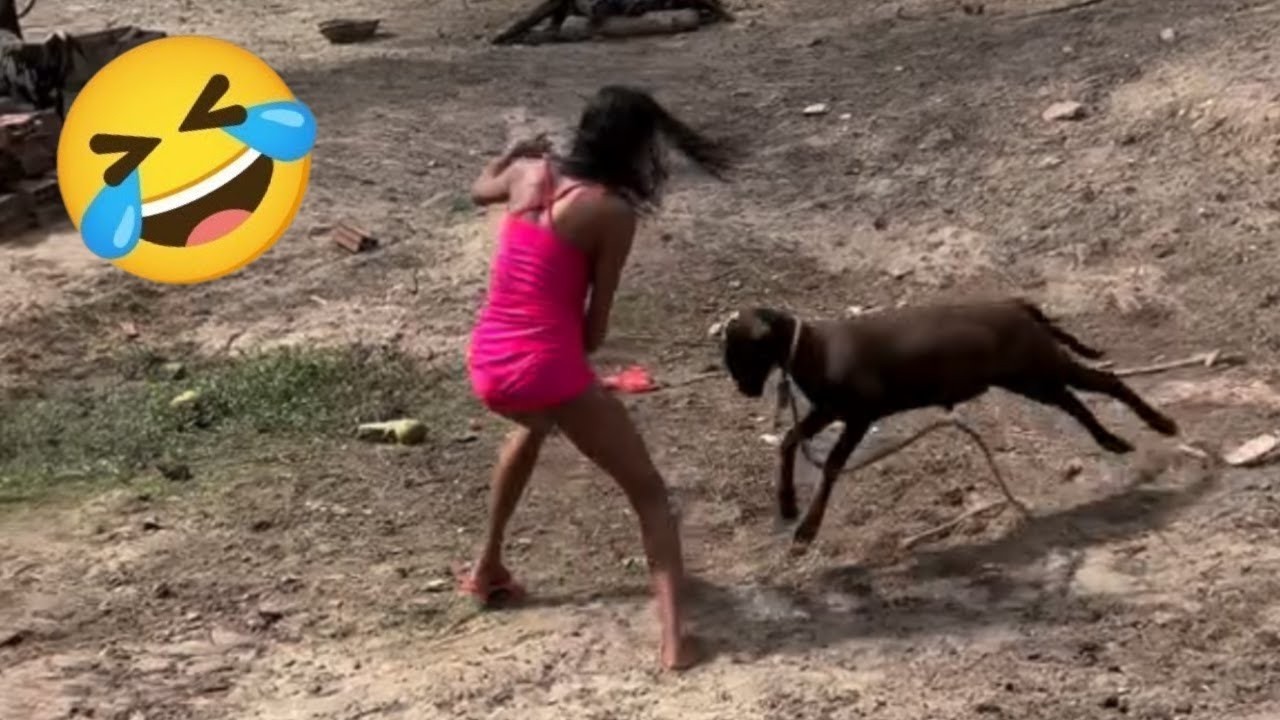 Try Not To Laugh 🤣 Top 100 Funniest Videos Ever 🎬🔥 Memes, Epic Fails & Hilarious Moments Part 3