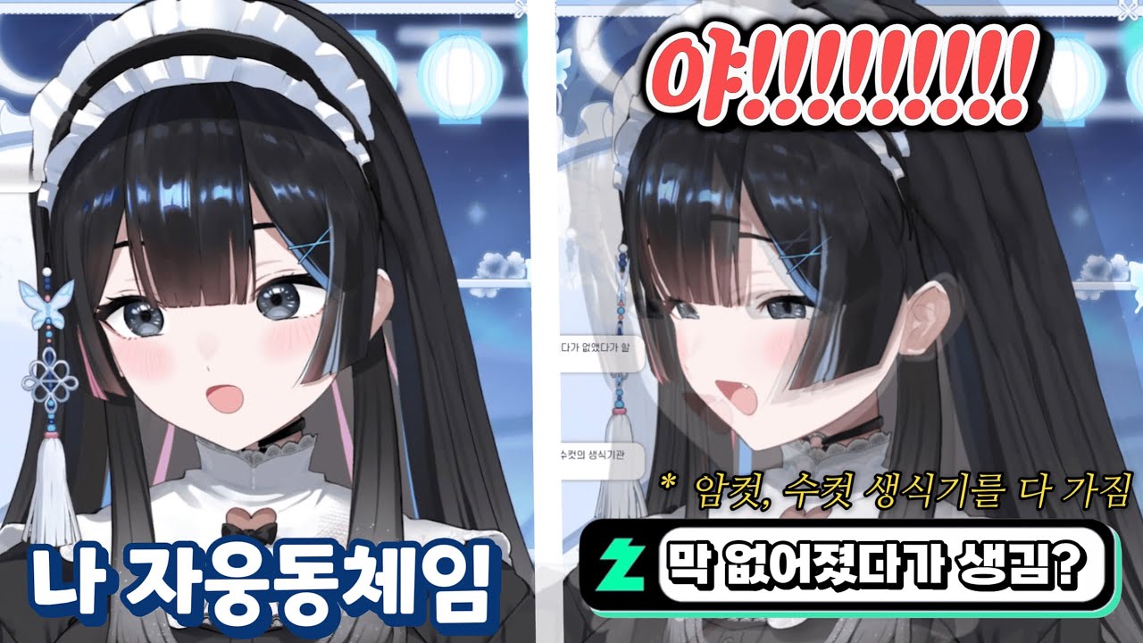 [백희 Baekhee] 자웅동체가 밥 안먹고 살아갈 수 있는 뜻인줄 알았지...