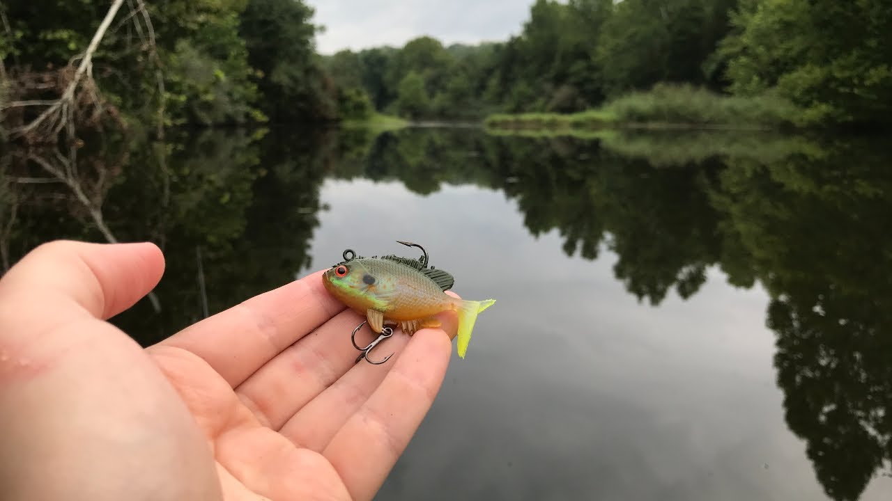 Рыбалка на миниатюрную приманку Bluegill Swimbait | Потрясающие результаты!