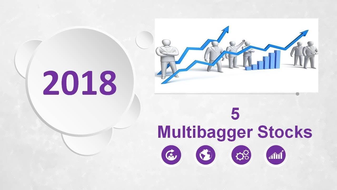 5 Multibagger Stocks for  2018-2019