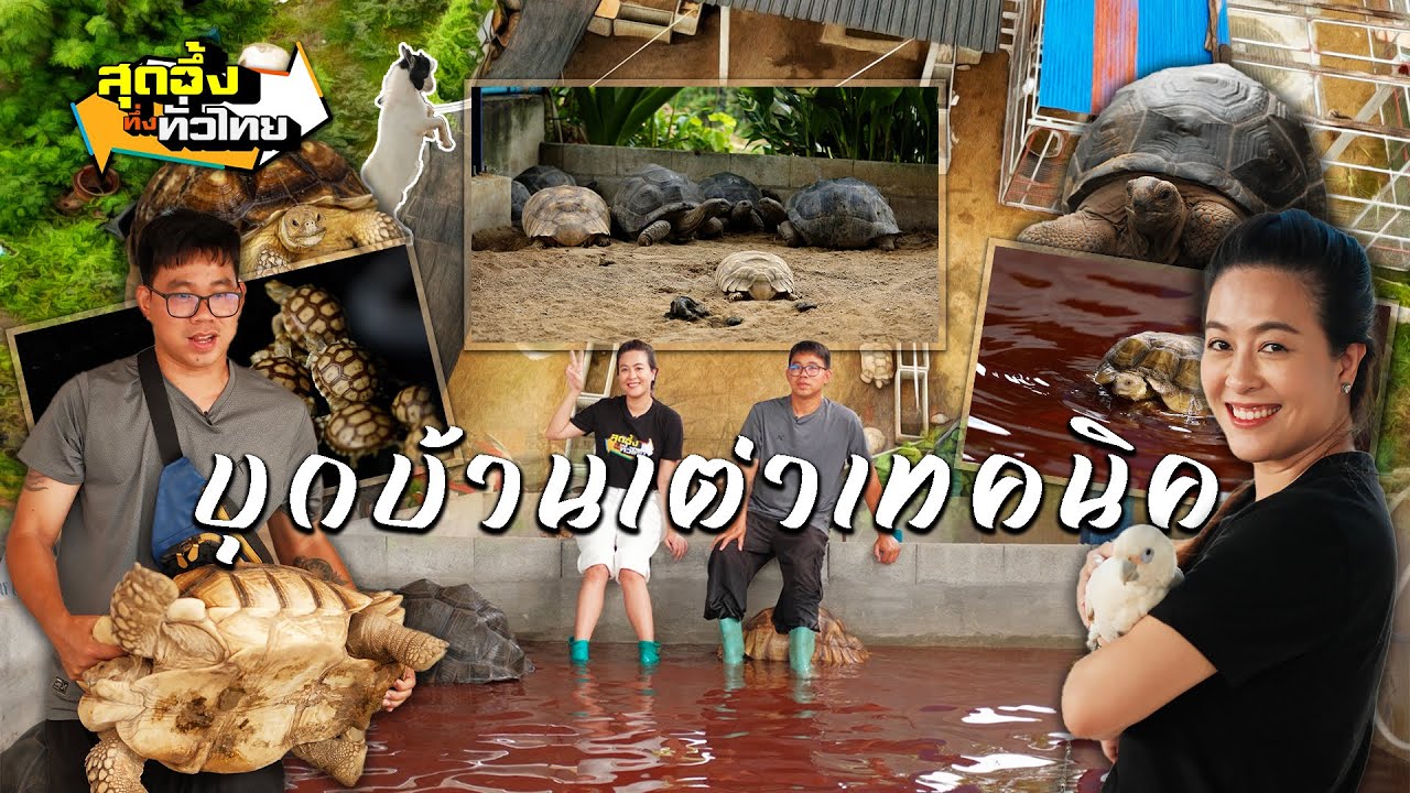 อณาจักรเต่าเทคนิค ธุรกิจเต่าครบวงจร | สุดอึ้งทึ่งทั่วไทย
