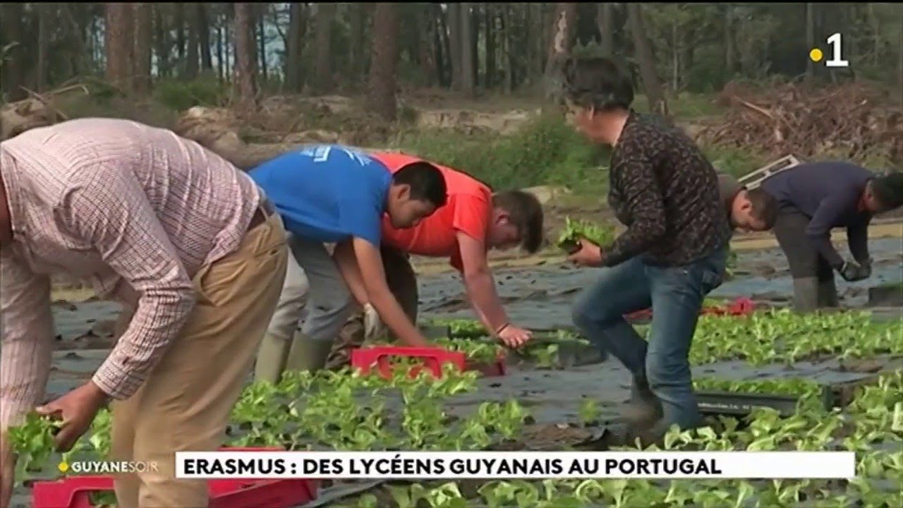 Erasmus : des lycéens guyanais au Portugal