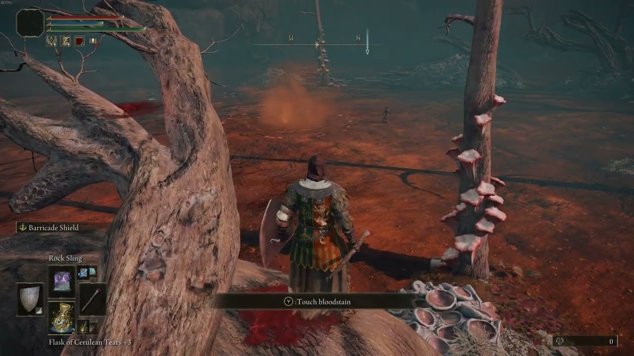 NPC Invader ain't too smart - Elden Ring (PC)