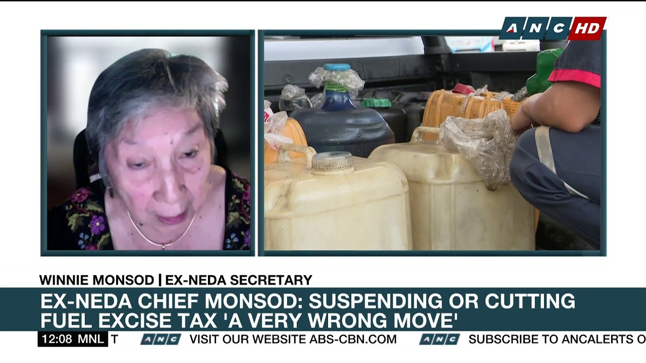 Ex-NEDA chief Monsod: Suspending or cutting fuel excise tax 'a very wrong move'  | ANC