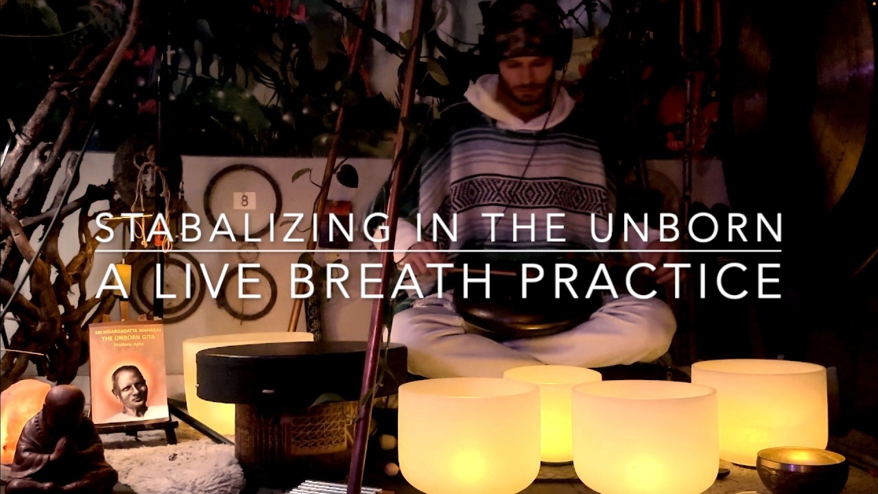 Stabilizing in the Unborn - A Live Breath Practice 🎧