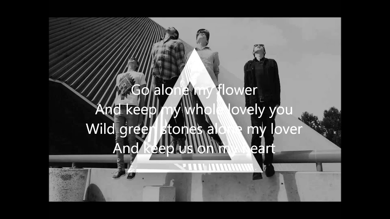 alt-j - tessellate - lyrics on screen