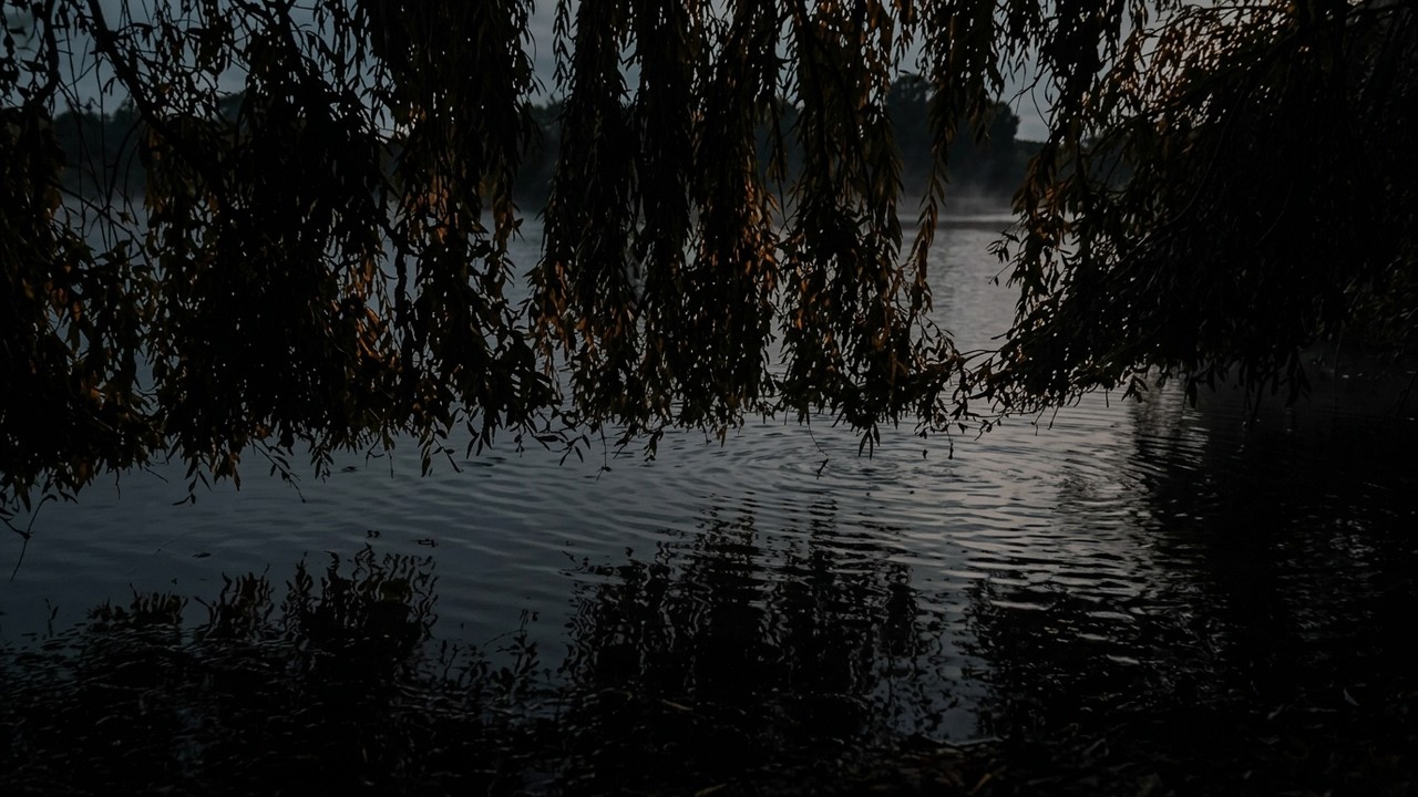 Soothing Evening POV Lake Walk for Calm and Stress Relief - New Zealand
