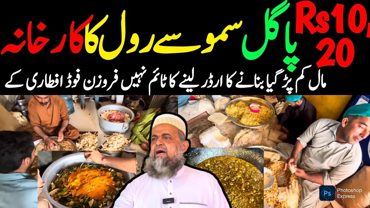 Best Delicious Frozen Food Items Rs 10 Samosa  Rs 20 Role Pura Saal 365 Days Vlog @focus with fahim
