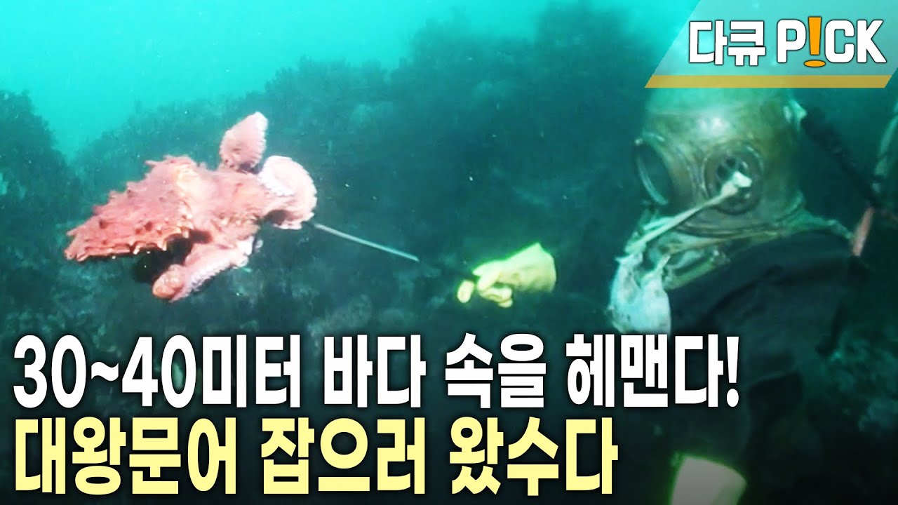 탈북자에서 강원도 고성의 유명 머구리가 되기까지 무슨 일이? 박명호의 '바다 인생극장' (KBS 20110930 방송)
