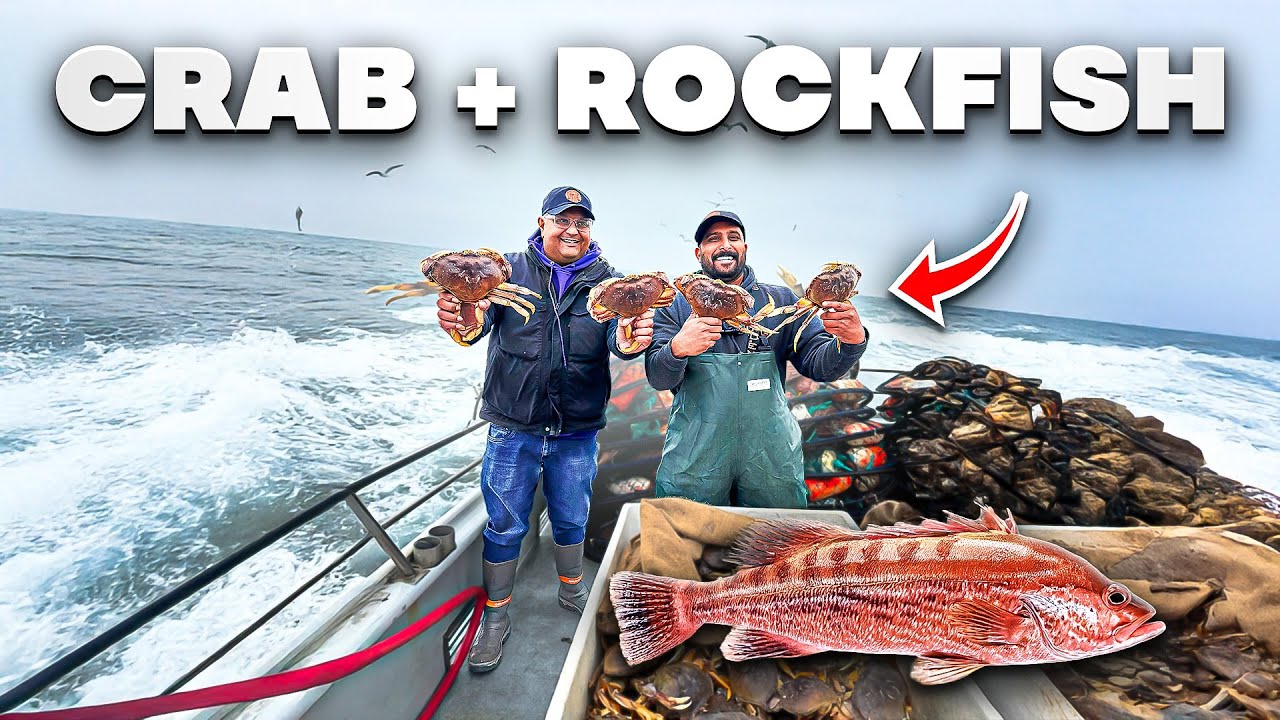 We LOADED the Boat with Crab and Rockfish