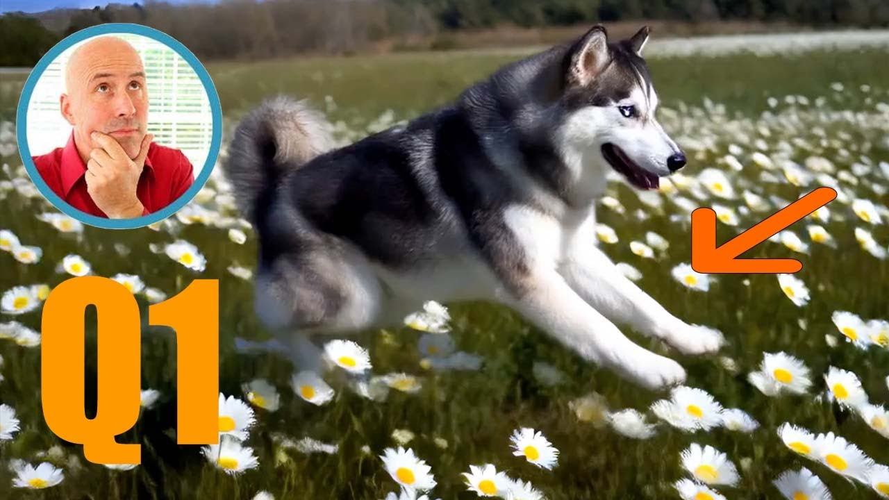 VidU Q1 AI Video -  Is It Better Than VidU 2.0? [Compared]
