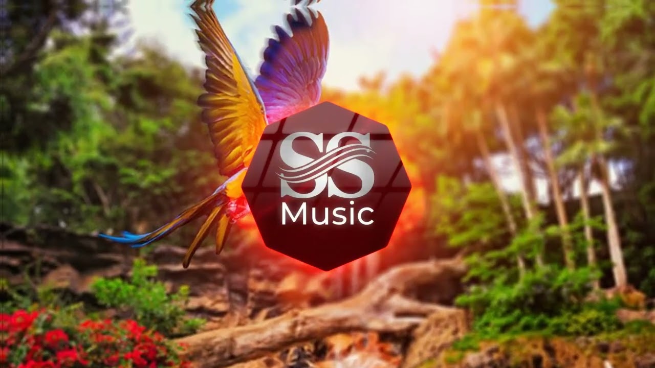 Stefan Music Feat. ADA  - Viata gradina rara | Manele Noi 2026