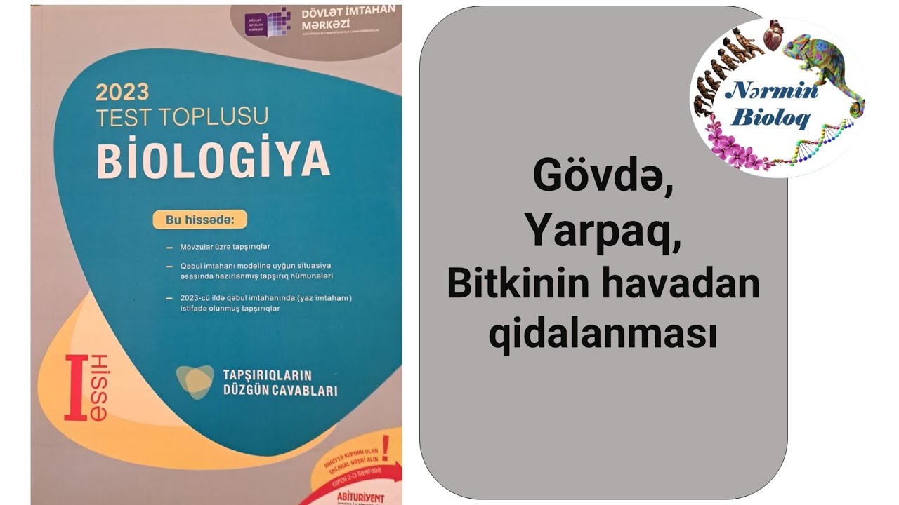 Dim 2023 Biologiya, Gövdə, Yarpaq, Bitkinin havadan qidalanması