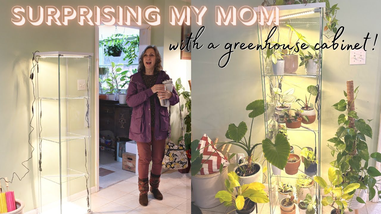 Surprising My Mom with an Ikea Greenhouse! | Detolf Cabinet