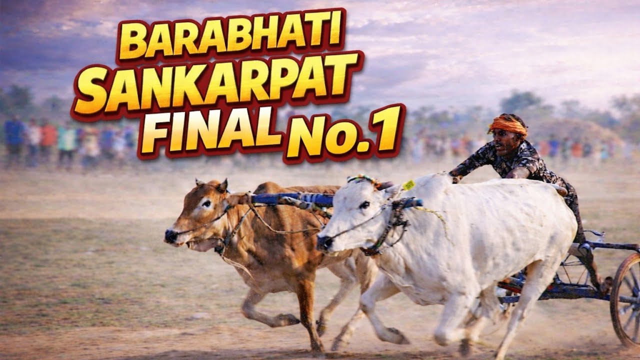 बाराभाटी शंकरपट फायनल 2026 | Nawegao bhand baradhati sankarpat finel | sankarpat finel #sankarpat