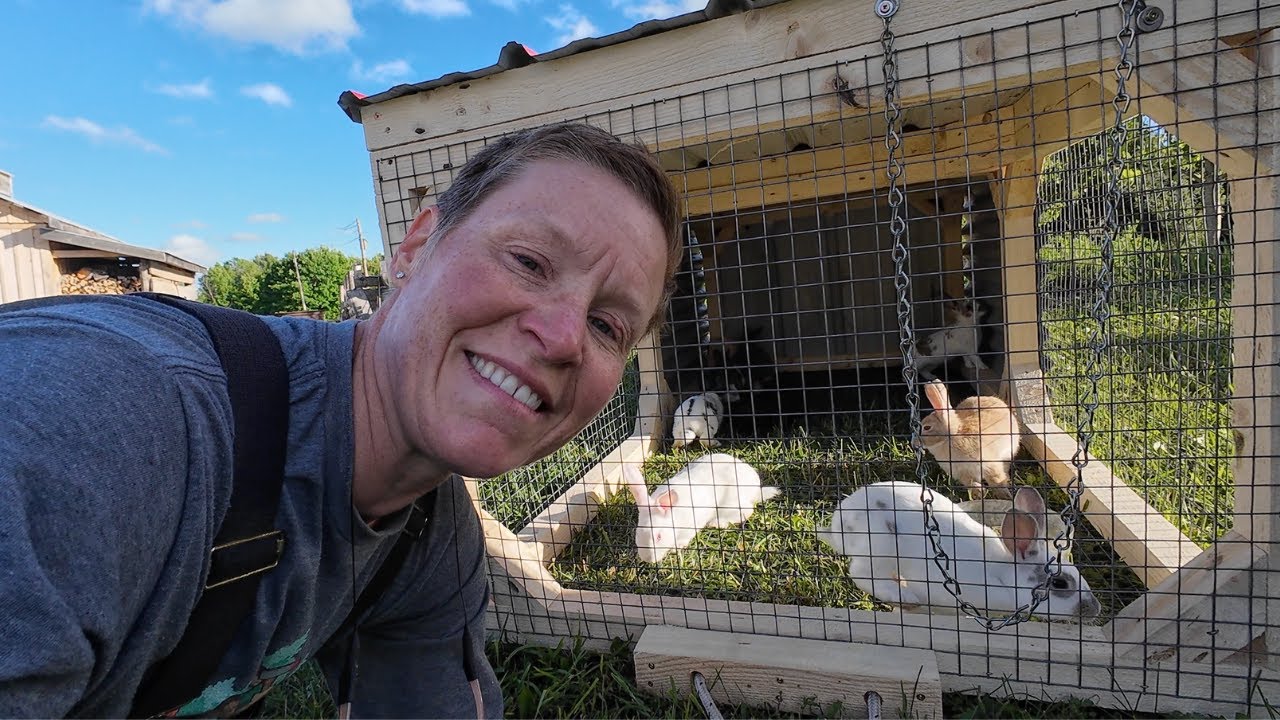 How to build a rabbit tractor | Keep your rabbits happy!
