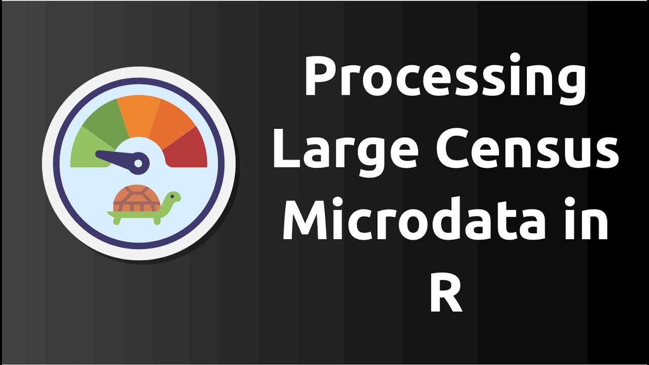 Processing Large Census Microdata in R: Cleaning and Workflow Tutorial (Part 1)