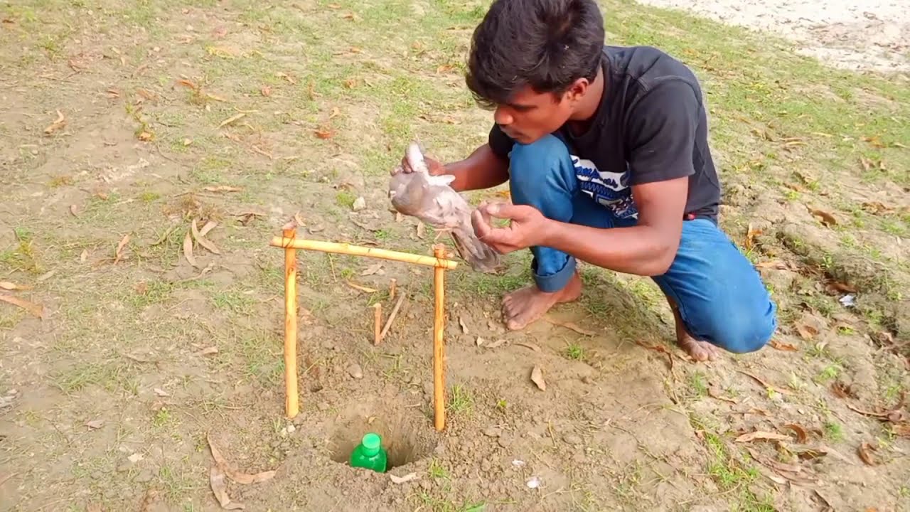 Wonderful Bird trap with Bottle make by Village Boy