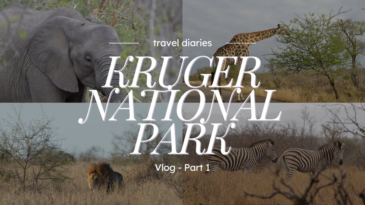 We Saw the RAREST Predators in Africa in One Day 😳 | Kruger Safari